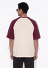 Men Cotton Raglane Aesthetic Oversized T shirts for Men